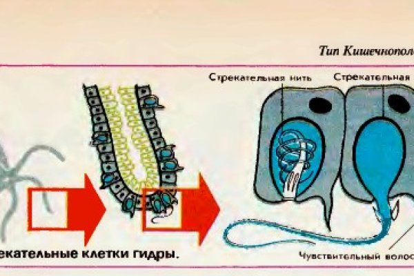 Кракен сайт ссылка тор браузере