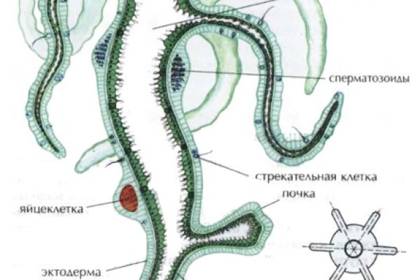 Каталог онион сайтов