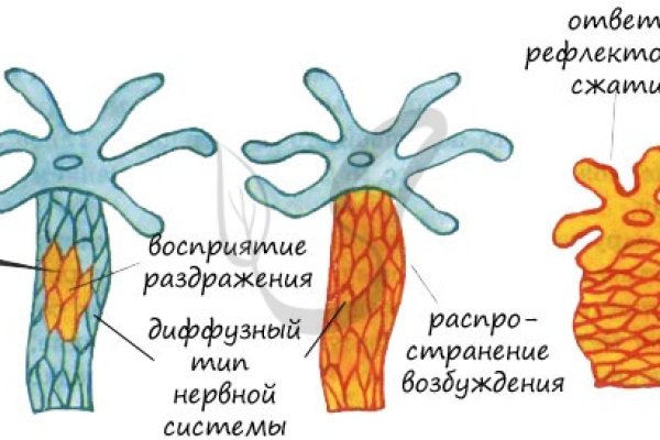 Kra35.gl